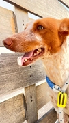 KINDER Image 1